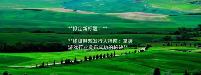 新城平台企业信息查询