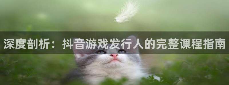 新城平台总代理是谁