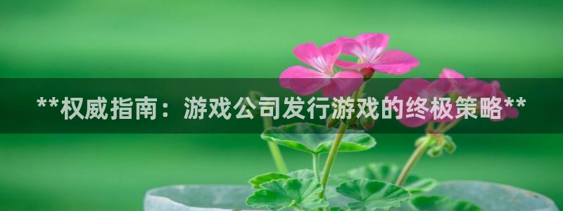 新城平台是干嘛的