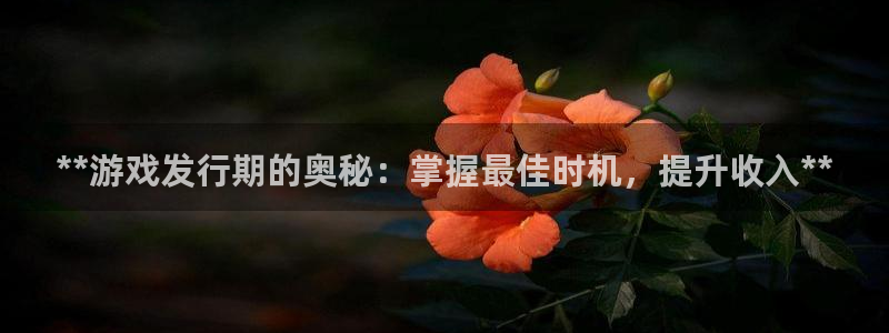 新城平台总代理是谁