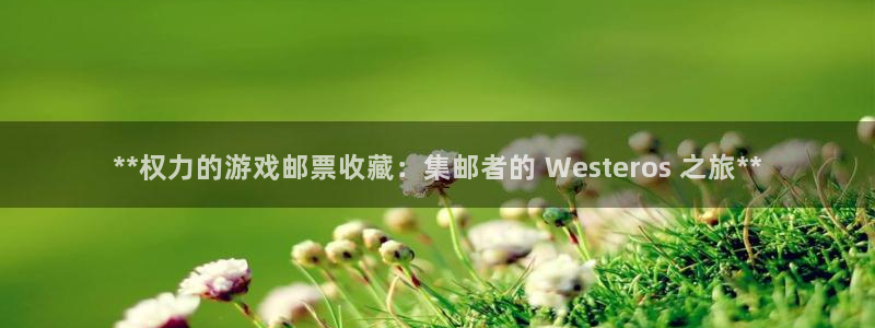 新城平台革7O777