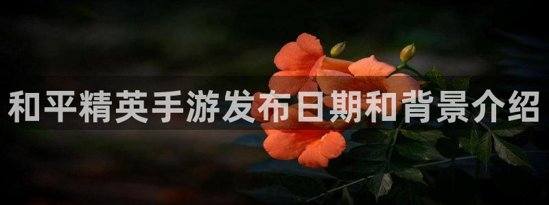 新城平台开户：和平精英手游发布日期和背景介绍