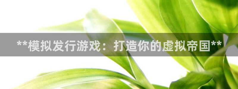 新城平台代理注册流程：**模拟发行游戏：打造你的虚拟帝国**