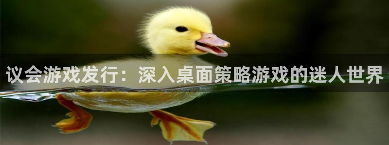 新城平台注册资金多少亿：议会游戏发行：深入桌面策略游戏的迷人世界