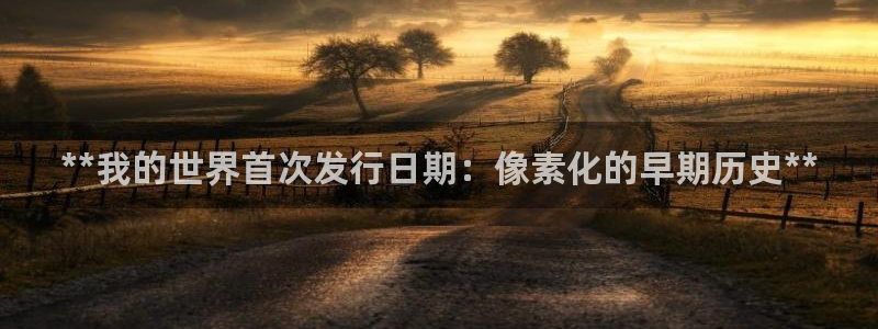 新城平台代理注册公司：**我的世界首次发行日期：像素化的早期历史**