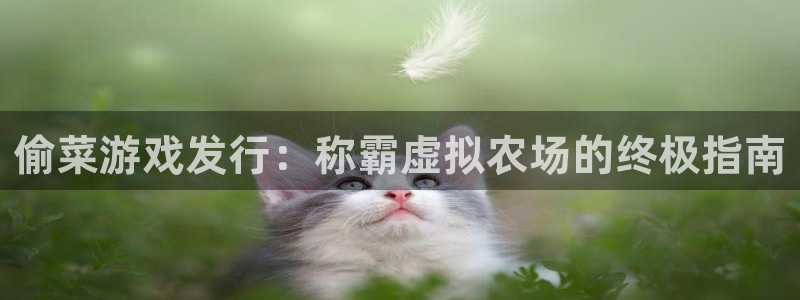 新城平台注册公司流程：偷菜游戏发行：称霸虚拟农场的终极指南