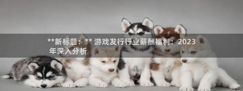 新城平台线路登录不上去了怎么回事：**新标题：** 游戏发行行业薪酬福利：2023
 年深入分析