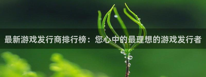 新城平台注册网址