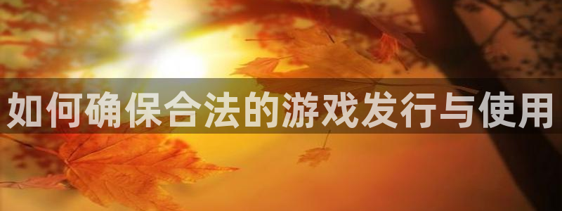 新城平台是干嘛的