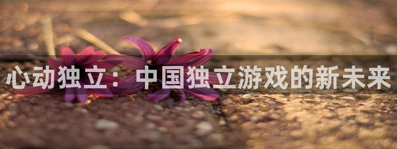 新城平台一新城注册
