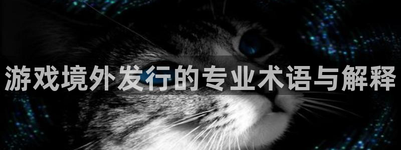 新城平台注册登录地址是什么