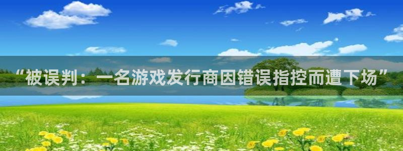 新城平台总代理是谁