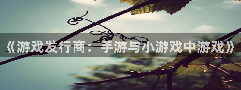 新城平台登录入口官网下载app