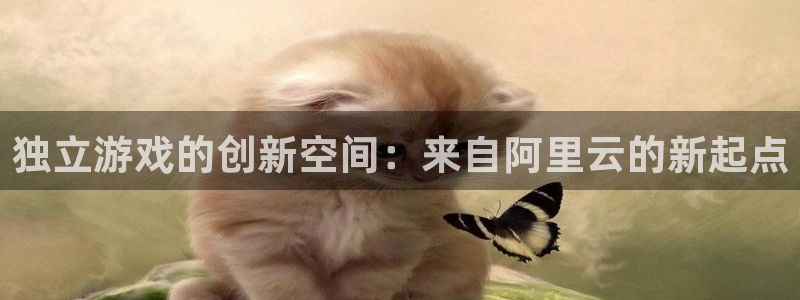 新城平台线路登录不上去了怎么办