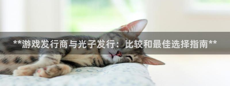 新城平台线路登录不上去怎么回事：**游戏发行商与光子发行：比较和最佳选择指南**