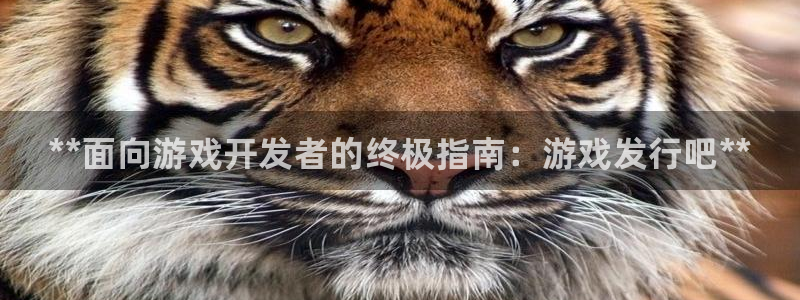 新城平台登录入口官网下载app：**面向游戏开发者的终极指南：游戏发行吧**