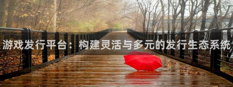 新城平台线路登录不上去怎么回事儿