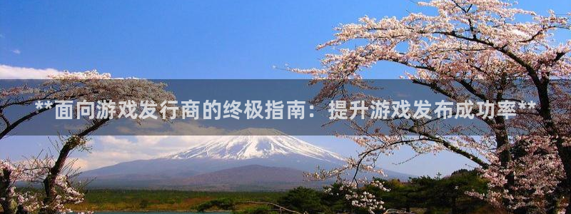 新城平台是干嘛的公司啊