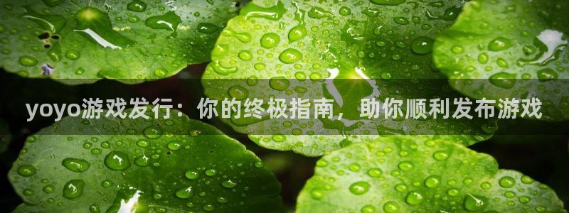 新城平台总代理是谁