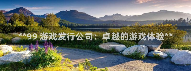 新城平台负责人名单：**99 游戏发行公司：卓越的游戏体验**