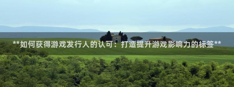 新城平台新注册：**如何获得游戏发行人的认可：打造提升游戏影响力的标签**