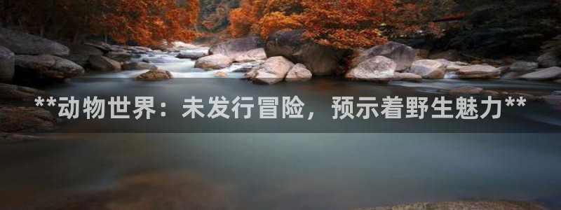 新城平台线路登录不上去怎么回事儿：**动物世界：未发行冒险，预示着野生魅力**