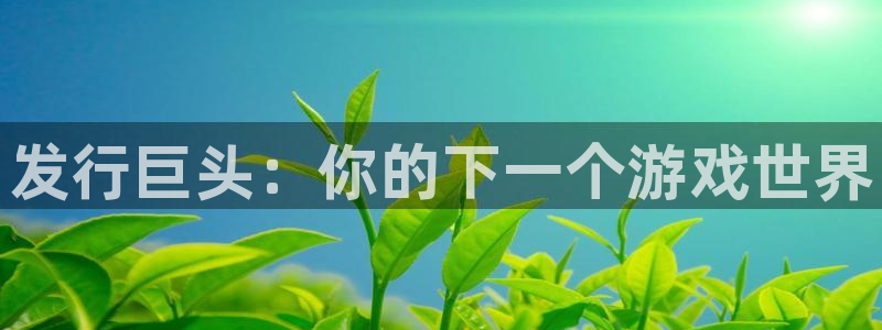 新城平台总代：发行巨头：你的下一个游戏世界