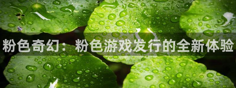 新城平台登录入口官网网址查询：粉色奇幻：粉色游戏发行的全新体验