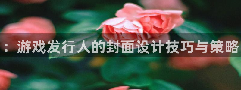 新城平台注册资金多少钱：：游戏发行人的封面设计技巧与策略