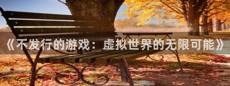新城平台官网注册入口：《不发行的游戏：虚拟世界的无限可能》