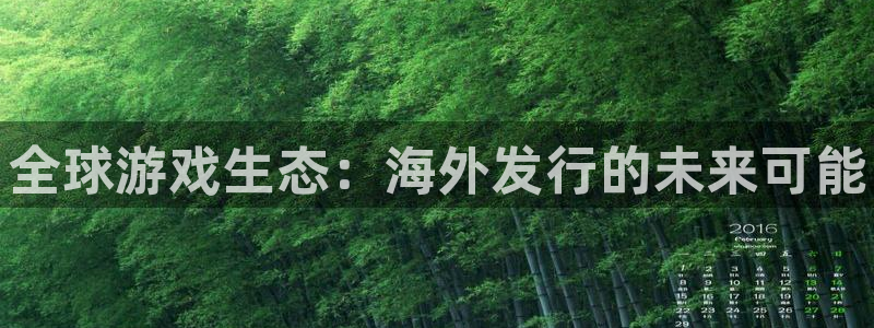 新城平台注册登录地址怎么填：全球游戏生态：海外发行的未来可能