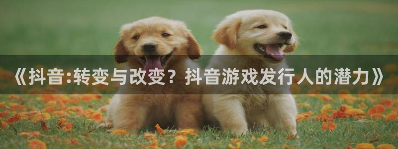 新城平台负责人：《抖音:转变与改变？抖音游戏发行人的潜力》