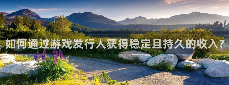 新城平台是干嘛的公司啊：如何通过游戏发行人获得稳定且持久的收入?