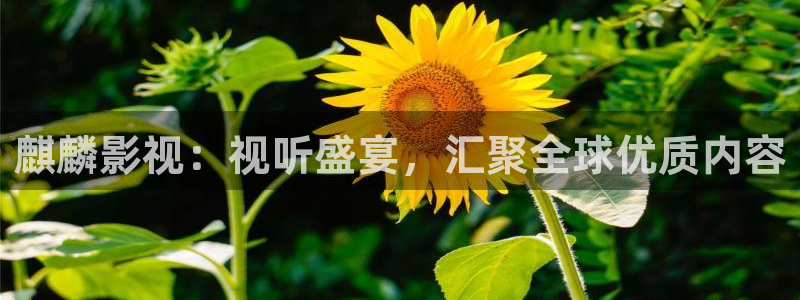 三妹影院复仇在线观看
