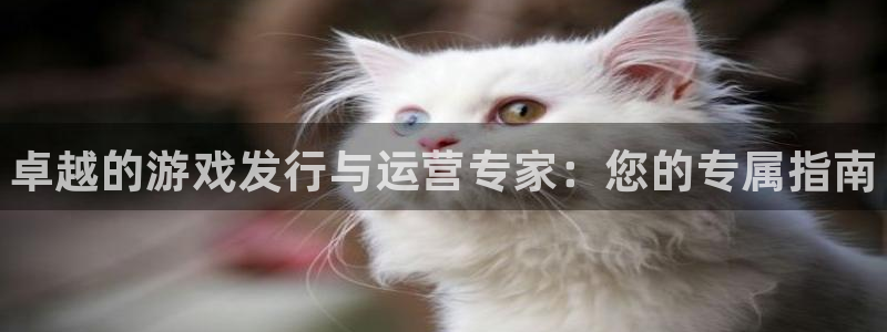 新城平台平台最新活动消息